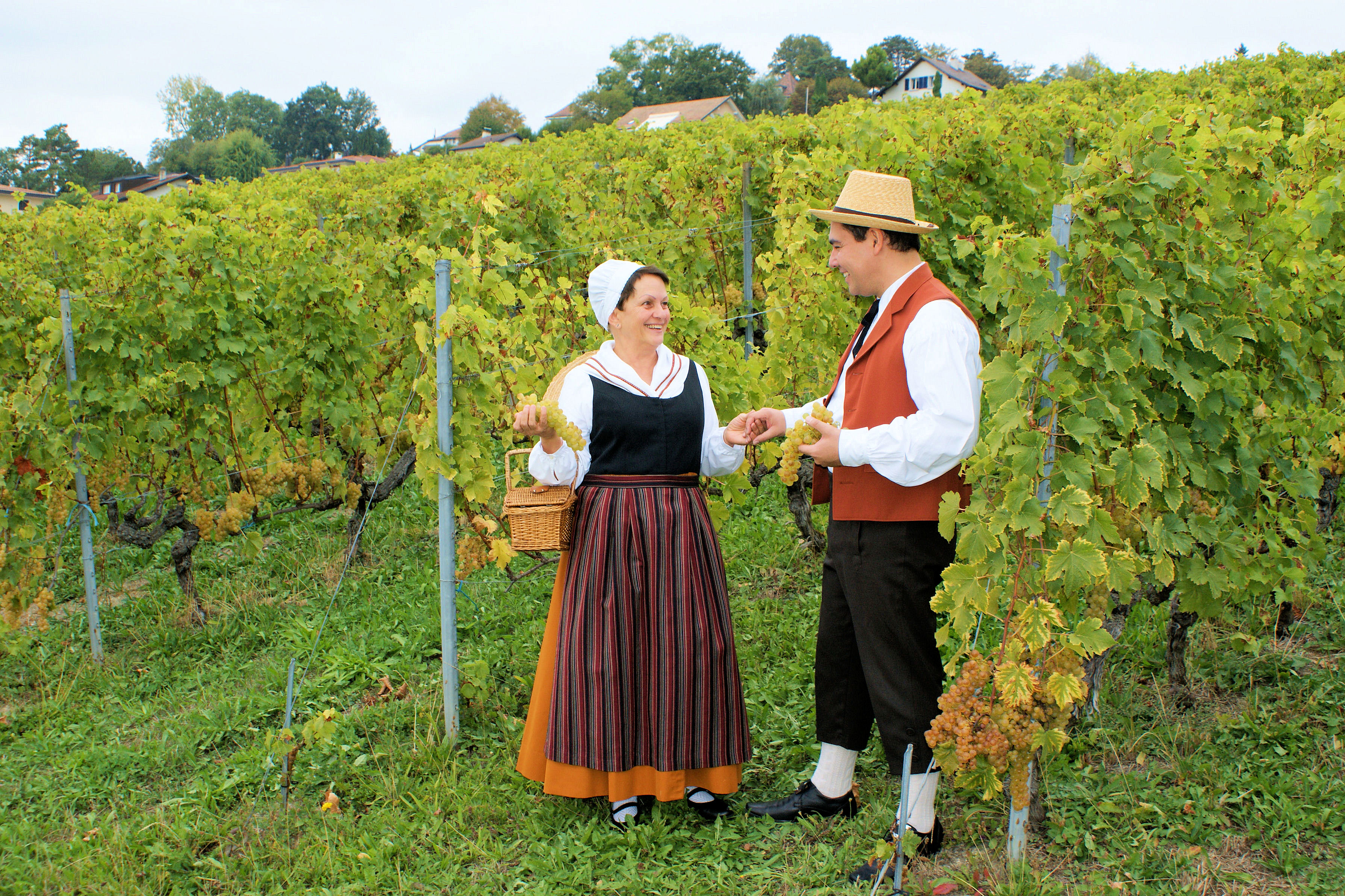 Costume de la petite Côte